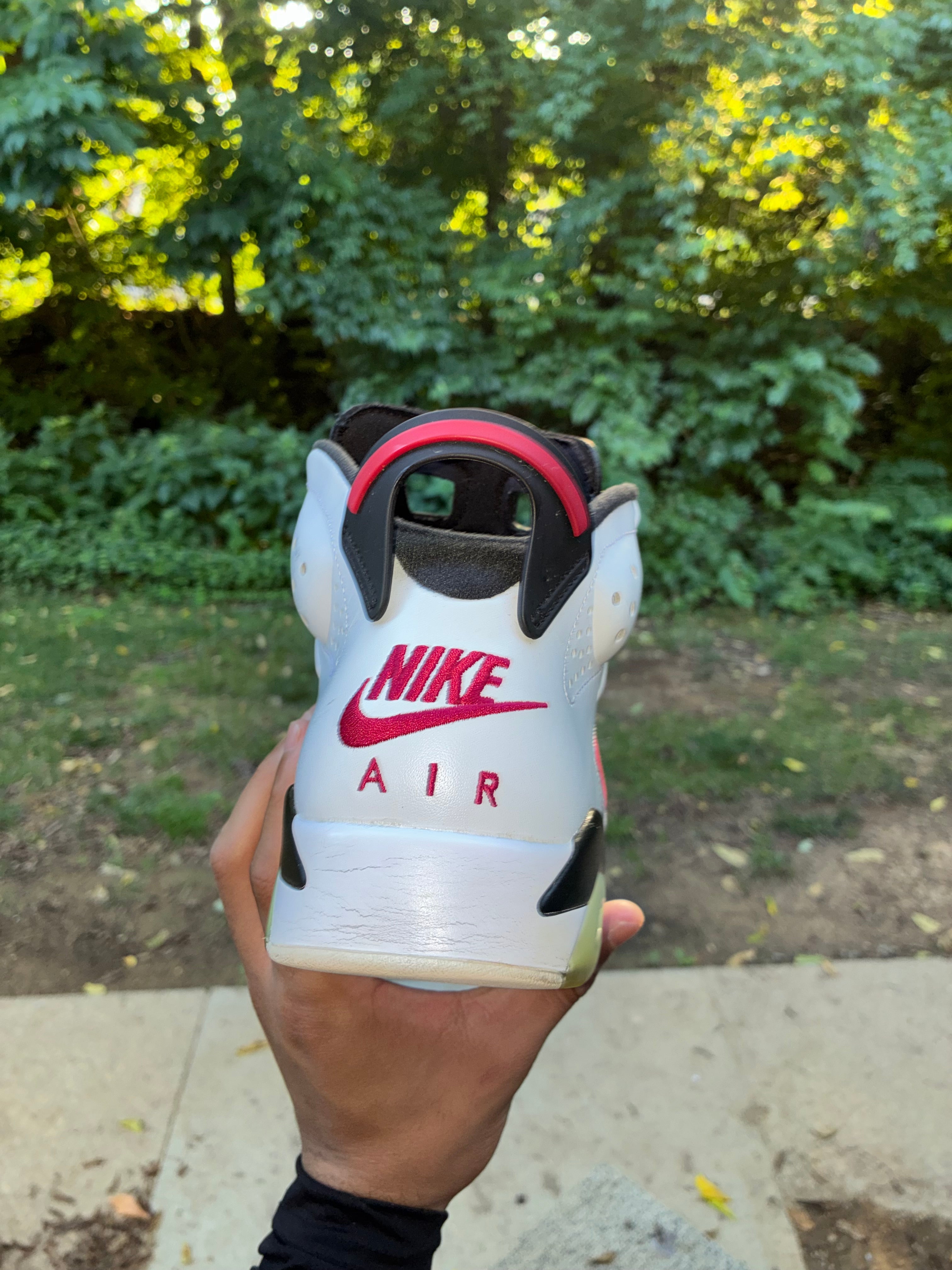 Air Jordan 6 Retro 'Carmine' (Pre-Owned) 9M